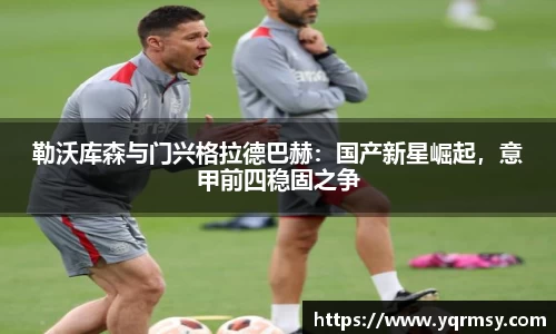 勒沃库森与门兴格拉德巴赫：国产新星崛起，意甲前四稳固之争