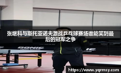 6t体育