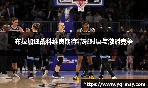 6t体育平台
