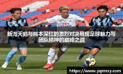 新泻天鹅与熊本深红的激烈对决展现足球魅力与团队精神的巅峰之战